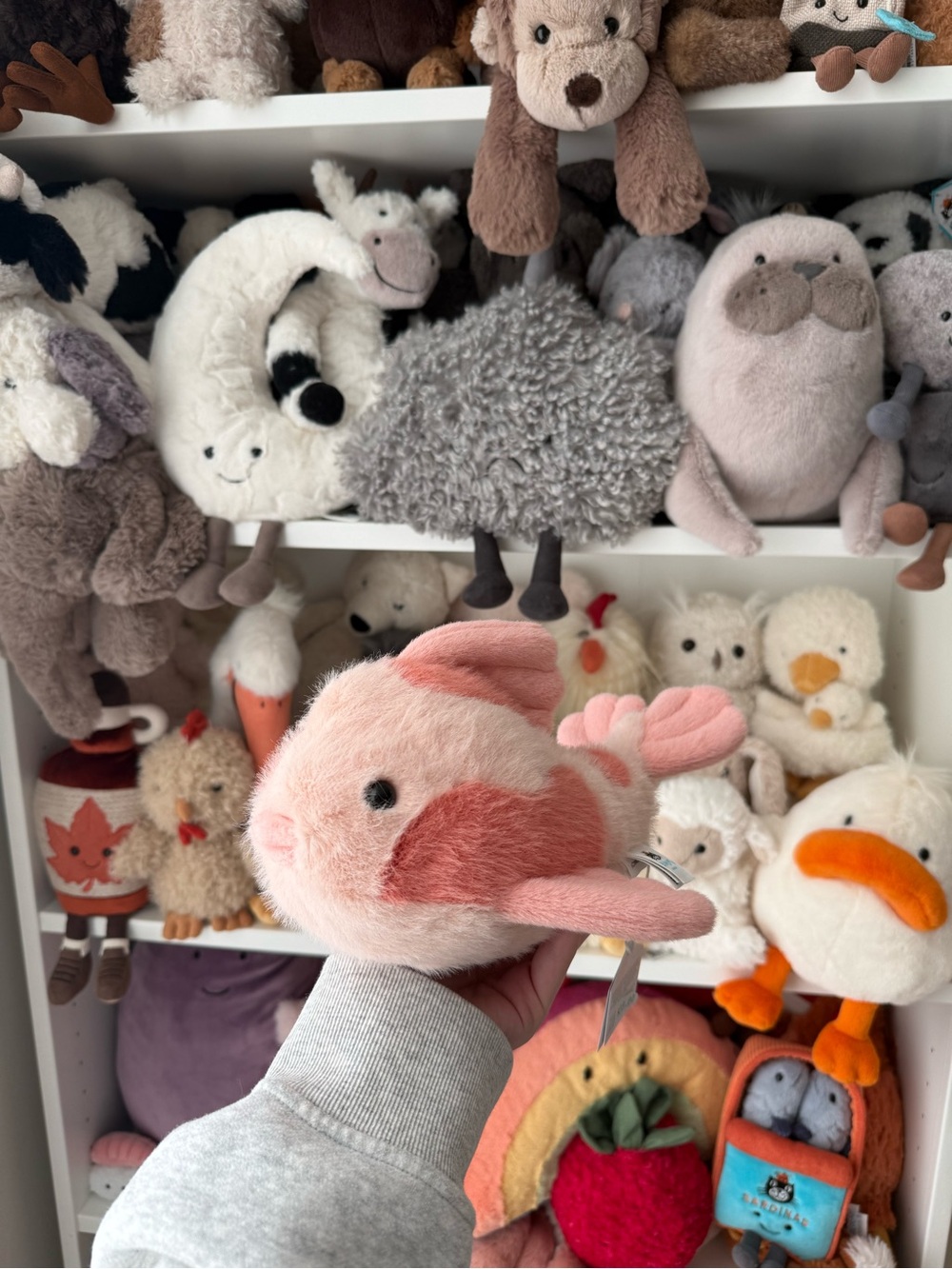 NWT Jellycat Fancy Carp